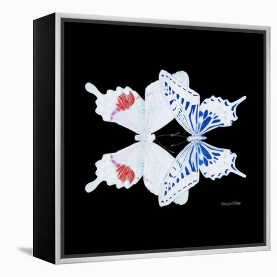 Miss Butterfly Duo Parisuthus Sq - X-Ray Black Edition-Philippe Hugonnard-Framed Stretched Canvas