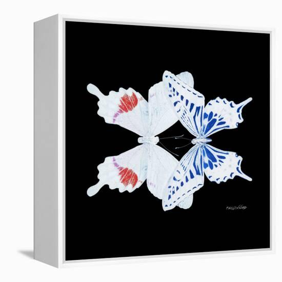 Miss Butterfly Duo Parisuthus Sq - X-Ray Black Edition-Philippe Hugonnard-Framed Stretched Canvas