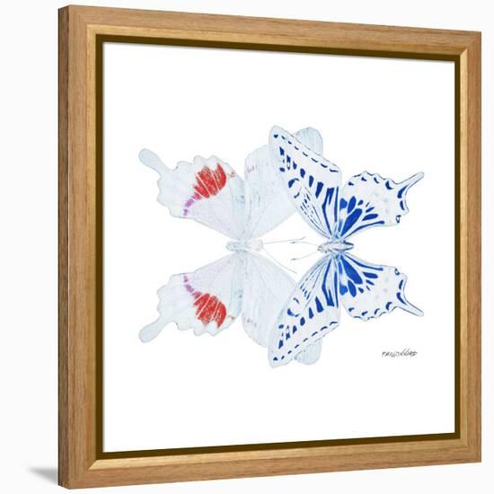 Miss Butterfly Duo Parisuthus Sq - X-Ray White Edition-Philippe Hugonnard-Framed Stretched Canvas