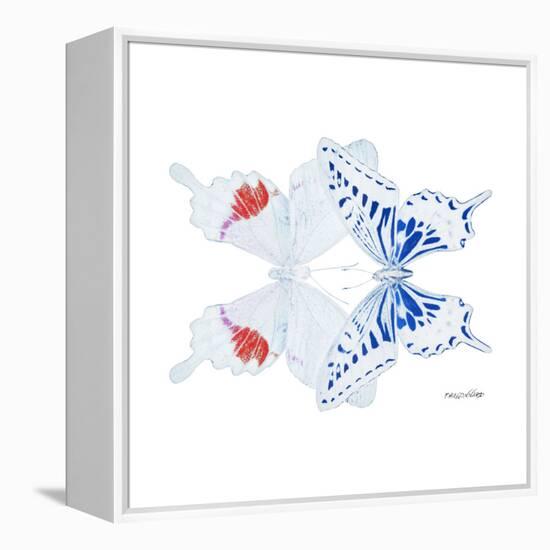 Miss Butterfly Duo Parisuthus Sq - X-Ray White Edition-Philippe Hugonnard-Framed Stretched Canvas