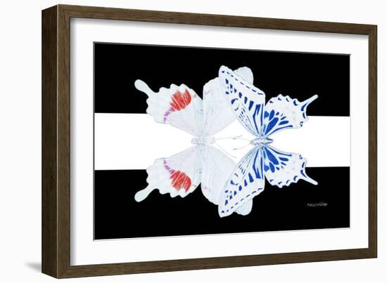 Miss Butterfly Duo Parisuthus - X-Ray B&W Edition II-Philippe Hugonnard-Framed Photographic Print