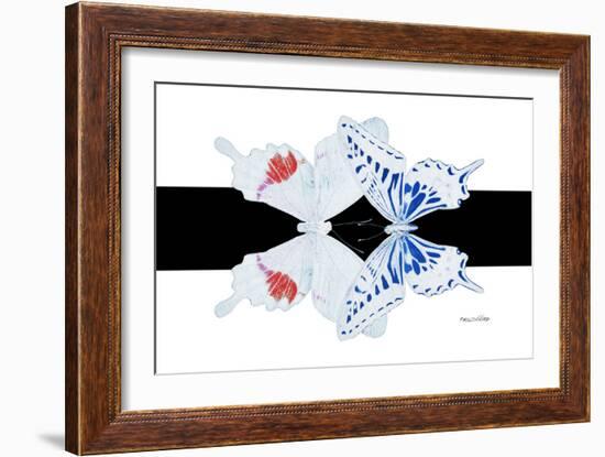 Miss Butterfly Duo Parisuthus - X-Ray B&W Edition-Philippe Hugonnard-Framed Photographic Print