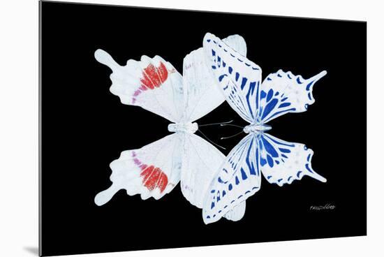 Miss Butterfly Duo Parisuthus - X-Ray Black Edition-Philippe Hugonnard-Mounted Photographic Print