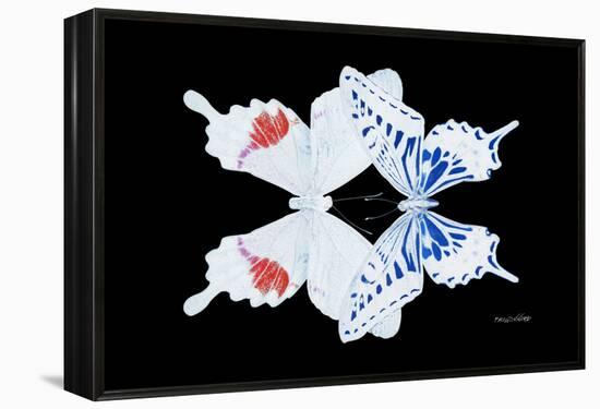 Miss Butterfly Duo Parisuthus - X-Ray Black Edition-Philippe Hugonnard-Framed Premier Image Canvas