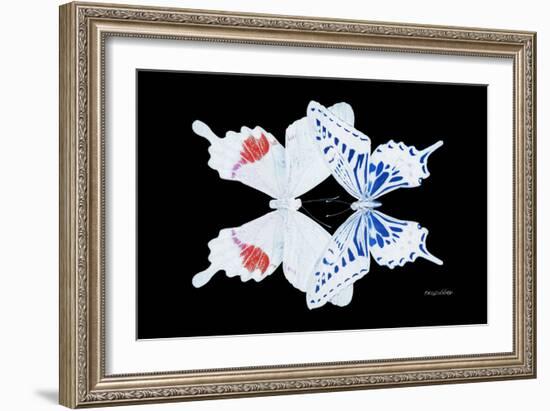 Miss Butterfly Duo Parisuthus - X-Ray Black Edition-Philippe Hugonnard-Framed Photographic Print