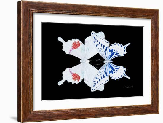 Miss Butterfly Duo Parisuthus - X-Ray Black Edition-Philippe Hugonnard-Framed Photographic Print