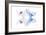 Miss Butterfly Duo Parisuthus - X-Ray White Edition-Philippe Hugonnard-Framed Photographic Print