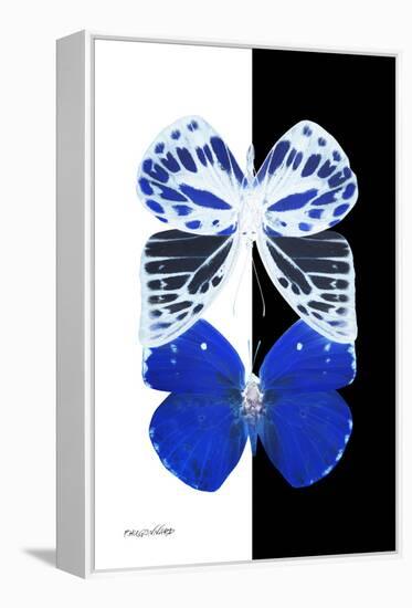 Miss Butterfly Duo Priopomia II - X-Ray B&W Edition-Philippe Hugonnard-Framed Premier Image Canvas