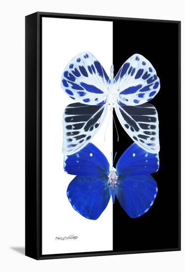 Miss Butterfly Duo Priopomia II - X-Ray B&W Edition-Philippe Hugonnard-Framed Stretched Canvas