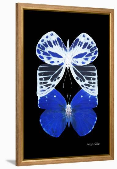 Miss Butterfly Duo Priopomia II - X-Ray Black Edition-Philippe Hugonnard-Framed Premier Image Canvas