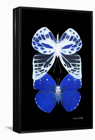 Miss Butterfly Duo Priopomia II - X-Ray Black Edition-Philippe Hugonnard-Framed Premier Image Canvas