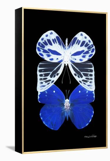 Miss Butterfly Duo Priopomia II - X-Ray Black Edition-Philippe Hugonnard-Framed Premier Image Canvas