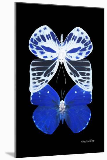 Miss Butterfly Duo Priopomia II - X-Ray Black Edition-Philippe Hugonnard-Mounted Photographic Print