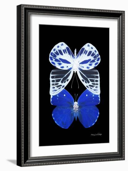 Miss Butterfly Duo Priopomia II - X-Ray Black Edition-Philippe Hugonnard-Framed Photographic Print