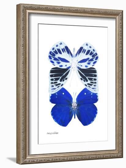 Miss Butterfly Duo Priopomia II - X-Ray White Edition-Philippe Hugonnard-Framed Photographic Print