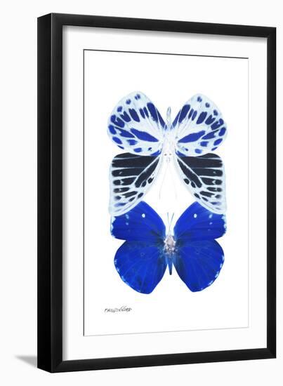 Miss Butterfly Duo Priopomia II - X-Ray White Edition-Philippe Hugonnard-Framed Photographic Print