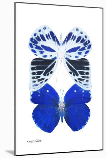 Miss Butterfly Duo Priopomia II - X-Ray White Edition-Philippe Hugonnard-Mounted Photographic Print