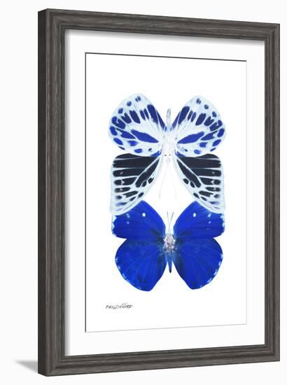 Miss Butterfly Duo Priopomia II - X-Ray White Edition-Philippe Hugonnard-Framed Premium Photographic Print