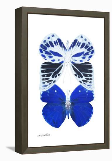 Miss Butterfly Duo Priopomia II - X-Ray White Edition-Philippe Hugonnard-Framed Premier Image Canvas