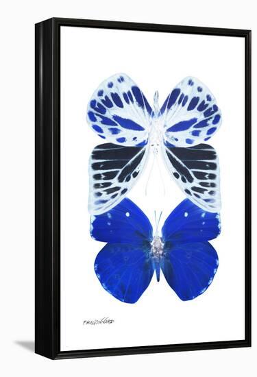 Miss Butterfly Duo Priopomia II - X-Ray White Edition-Philippe Hugonnard-Framed Premier Image Canvas