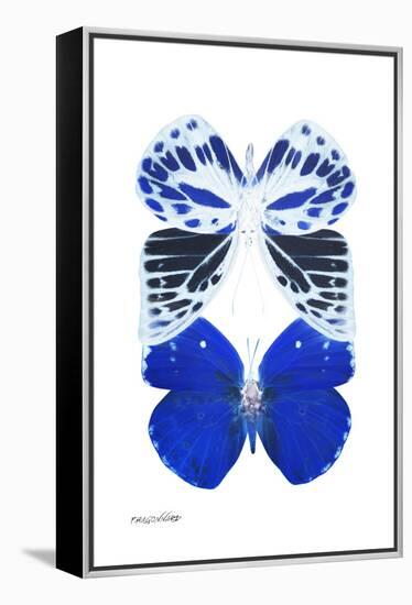 Miss Butterfly Duo Priopomia II - X-Ray White Edition-Philippe Hugonnard-Framed Premier Image Canvas