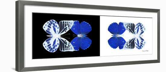 Miss Butterfly Duo Priopomia Pan - X-Ray B&W Edition-Philippe Hugonnard-Framed Photographic Print