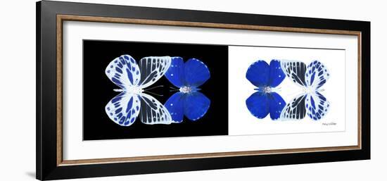 Miss Butterfly Duo Priopomia Pan - X-Ray B&W Edition-Philippe Hugonnard-Framed Photographic Print