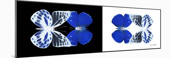 Miss Butterfly Duo Priopomia Pan - X-Ray B&W Edition-Philippe Hugonnard-Mounted Photographic Print