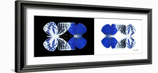 Miss Butterfly Duo Priopomia Pan - X-Ray B&W Edition-Philippe Hugonnard-Framed Photographic Print