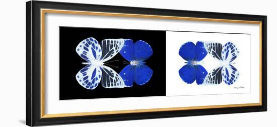 Miss Butterfly Duo Priopomia Pan - X-Ray B&W Edition-Philippe Hugonnard-Framed Photographic Print
