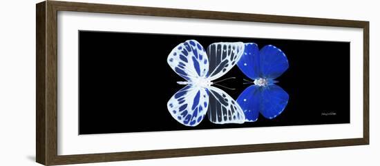 Miss Butterfly Duo Priopomia Pan - X-Ray Black Edition-Philippe Hugonnard-Framed Photographic Print