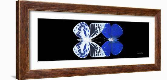 Miss Butterfly Duo Priopomia Pan - X-Ray Black Edition-Philippe Hugonnard-Framed Photographic Print