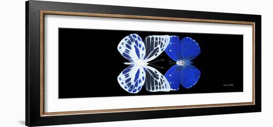 Miss Butterfly Duo Priopomia Pan - X-Ray Black Edition-Philippe Hugonnard-Framed Photographic Print