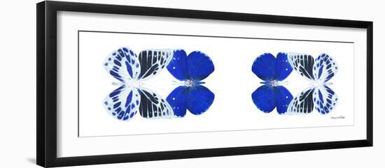Miss Butterfly Duo Priopomia Pan - X-Ray White Edition II-Philippe Hugonnard-Framed Photographic Print