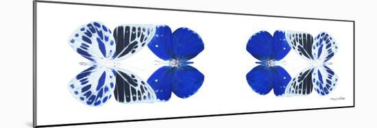 Miss Butterfly Duo Priopomia Pan - X-Ray White Edition II-Philippe Hugonnard-Mounted Photographic Print