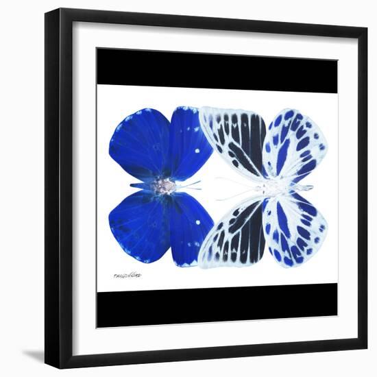 Miss Butterfly Duo Priopomia Sq - X-Ray B&W Edition-Philippe Hugonnard-Framed Photographic Print