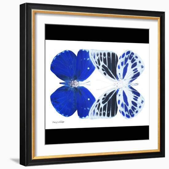 Miss Butterfly Duo Priopomia Sq - X-Ray B&W Edition-Philippe Hugonnard-Framed Photographic Print