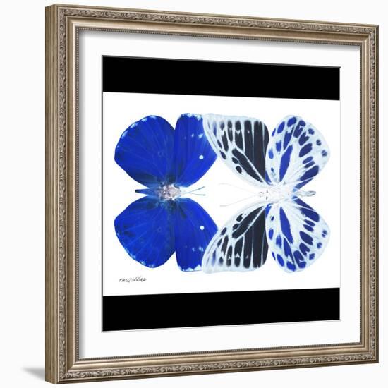 Miss Butterfly Duo Priopomia Sq - X-Ray B&W Edition-Philippe Hugonnard-Framed Premium Photographic Print