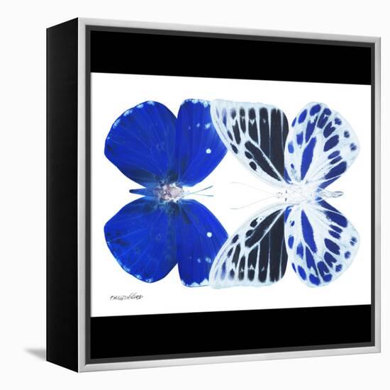 Miss Butterfly Duo Priopomia Sq - X-Ray B&W Edition-Philippe Hugonnard-Framed Stretched Canvas