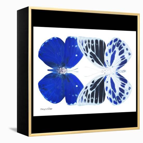 Miss Butterfly Duo Priopomia Sq - X-Ray B&W Edition-Philippe Hugonnard-Framed Stretched Canvas