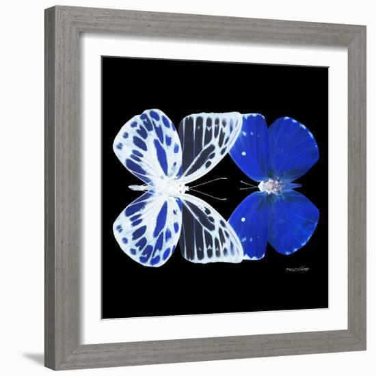 Miss Butterfly Duo Priopomia Sq - X-Ray Black Edition-Philippe Hugonnard-Framed Photographic Print