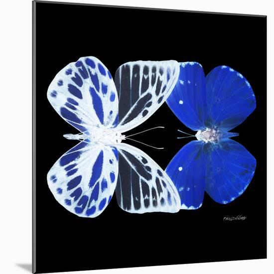 Miss Butterfly Duo Priopomia Sq - X-Ray Black Edition-Philippe Hugonnard-Mounted Photographic Print