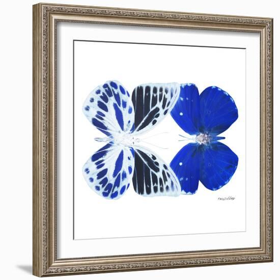 Miss Butterfly Duo Priopomia Sq - X-Ray White Edition-Philippe Hugonnard-Framed Photographic Print