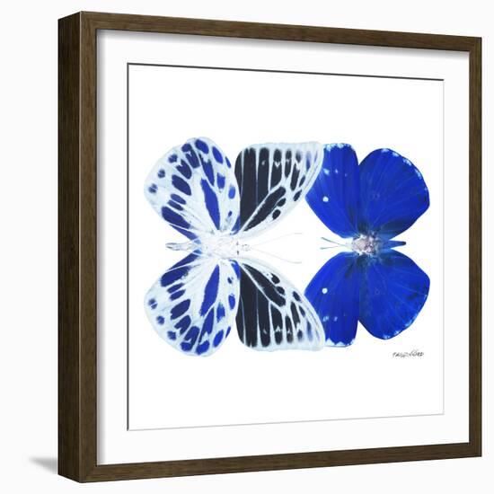 Miss Butterfly Duo Priopomia Sq - X-Ray White Edition-Philippe Hugonnard-Framed Photographic Print