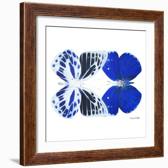 Miss Butterfly Duo Priopomia Sq - X-Ray White Edition-Philippe Hugonnard-Framed Photographic Print