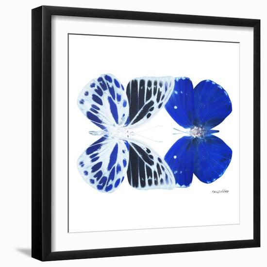 Miss Butterfly Duo Priopomia Sq - X-Ray White Edition-Philippe Hugonnard-Framed Photographic Print