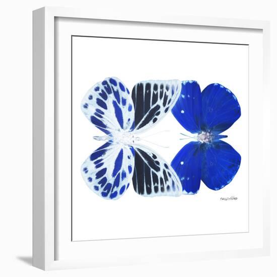 Miss Butterfly Duo Priopomia Sq - X-Ray White Edition-Philippe Hugonnard-Framed Photographic Print