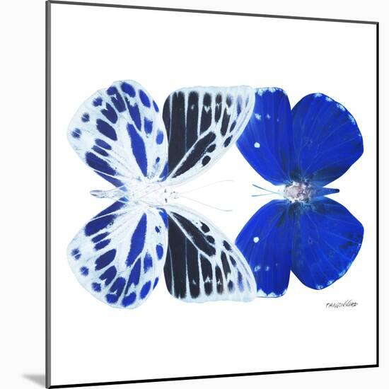 Miss Butterfly Duo Priopomia Sq - X-Ray White Edition-Philippe Hugonnard-Mounted Photographic Print