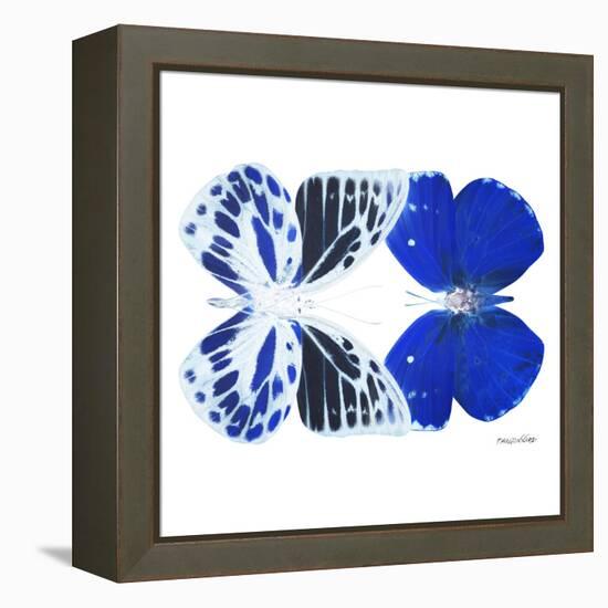 Miss Butterfly Duo Priopomia Sq - X-Ray White Edition-Philippe Hugonnard-Framed Stretched Canvas