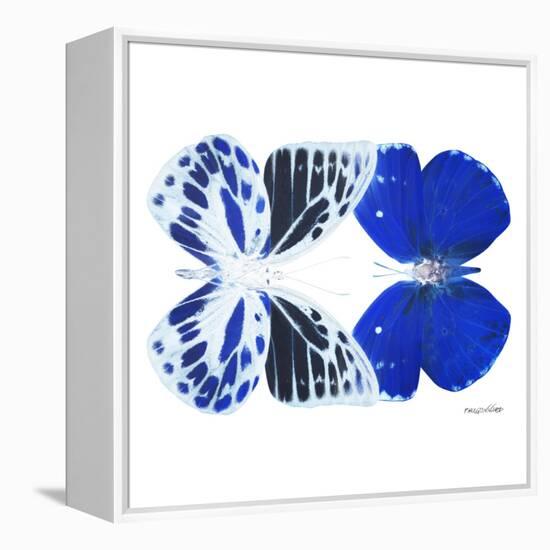 Miss Butterfly Duo Priopomia Sq - X-Ray White Edition-Philippe Hugonnard-Framed Stretched Canvas